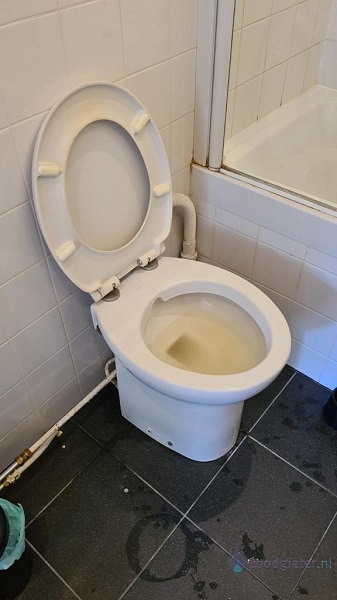  verstopping toilet Voorschoten